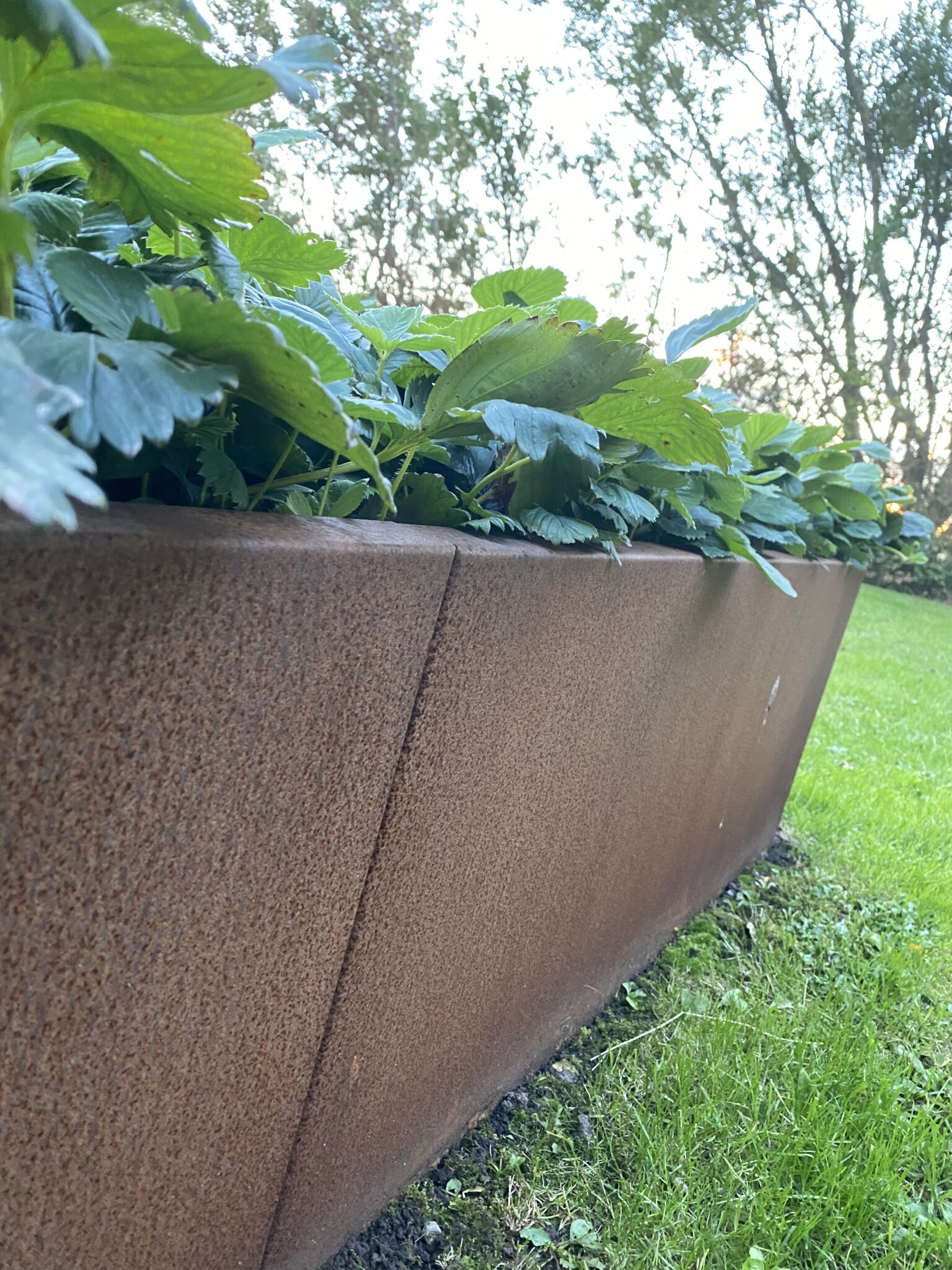 BOX - Plantekasser